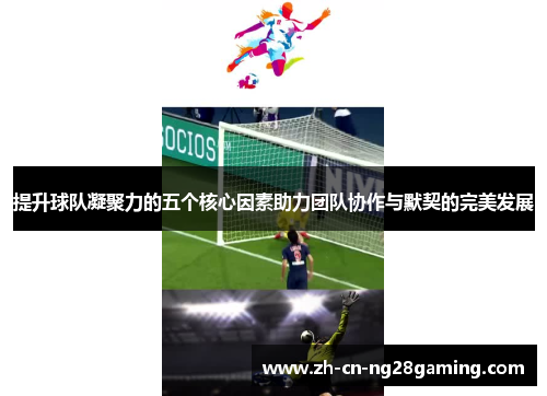 提升球队凝聚力的五个核心因素助力团队协作与默契的完美发展