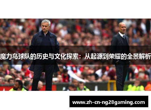魔力鸟球队的历史与文化探索：从起源到荣耀的全景解析