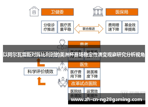 以阿尔瓦雷斯对阵比利时的美洲杯赛场稳定性演变观察研究分析视角