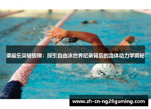 潘展乐突破极限：探索自由泳世界纪录背后的流体动力学奥秘